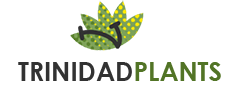 Trinidad Plants-My WordPress Blog