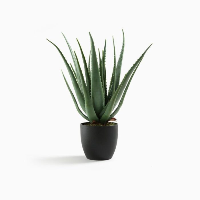 Condimentum furniture - Image 4