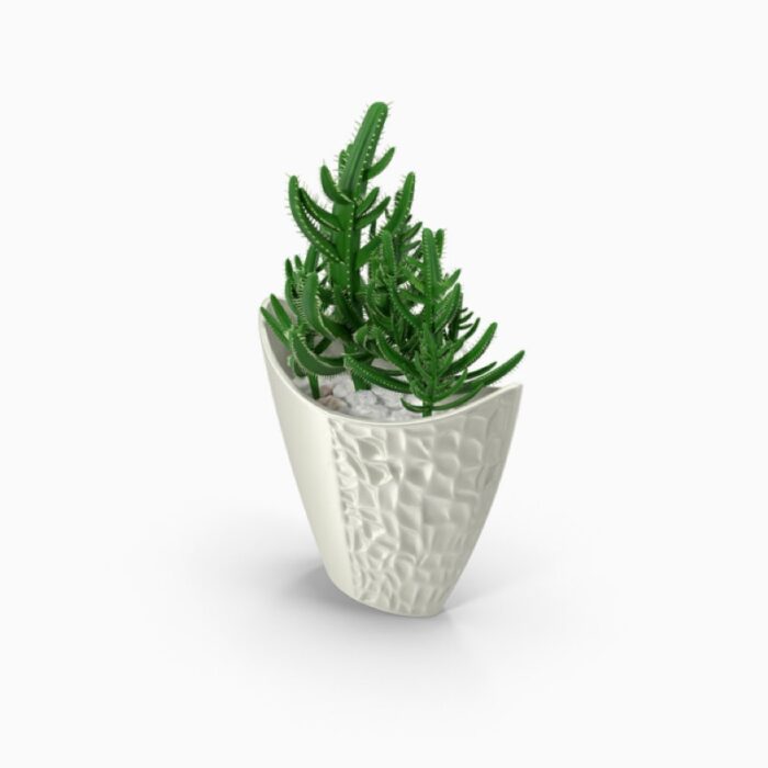 Convallis furniture - Image 3