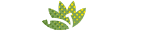 Trinidad Plants-My WordPress Blog